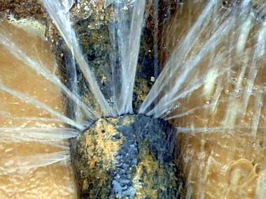 �ܾW(w��ng)©ˮ���ܕ�(hu��)����(l��i)��ЩӰ���