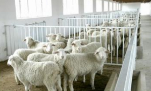 �F(xi��n)���B(y��ng)ֳ��(ch��ng)�����x����ι�ˮ�O(sh��)����