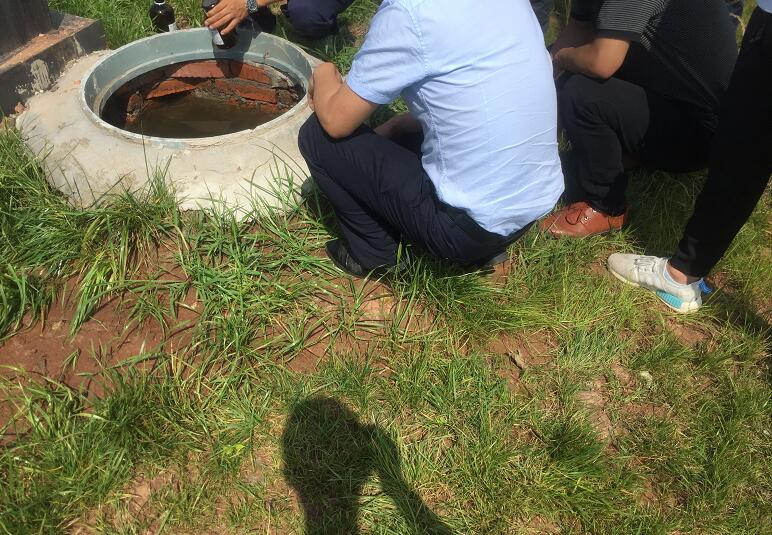 �ߘǌ� �����ι�ˮ���ɿ�����